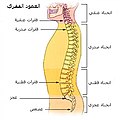 تصغير للنسخة بتاريخ 21:27، 25 يناير 2008