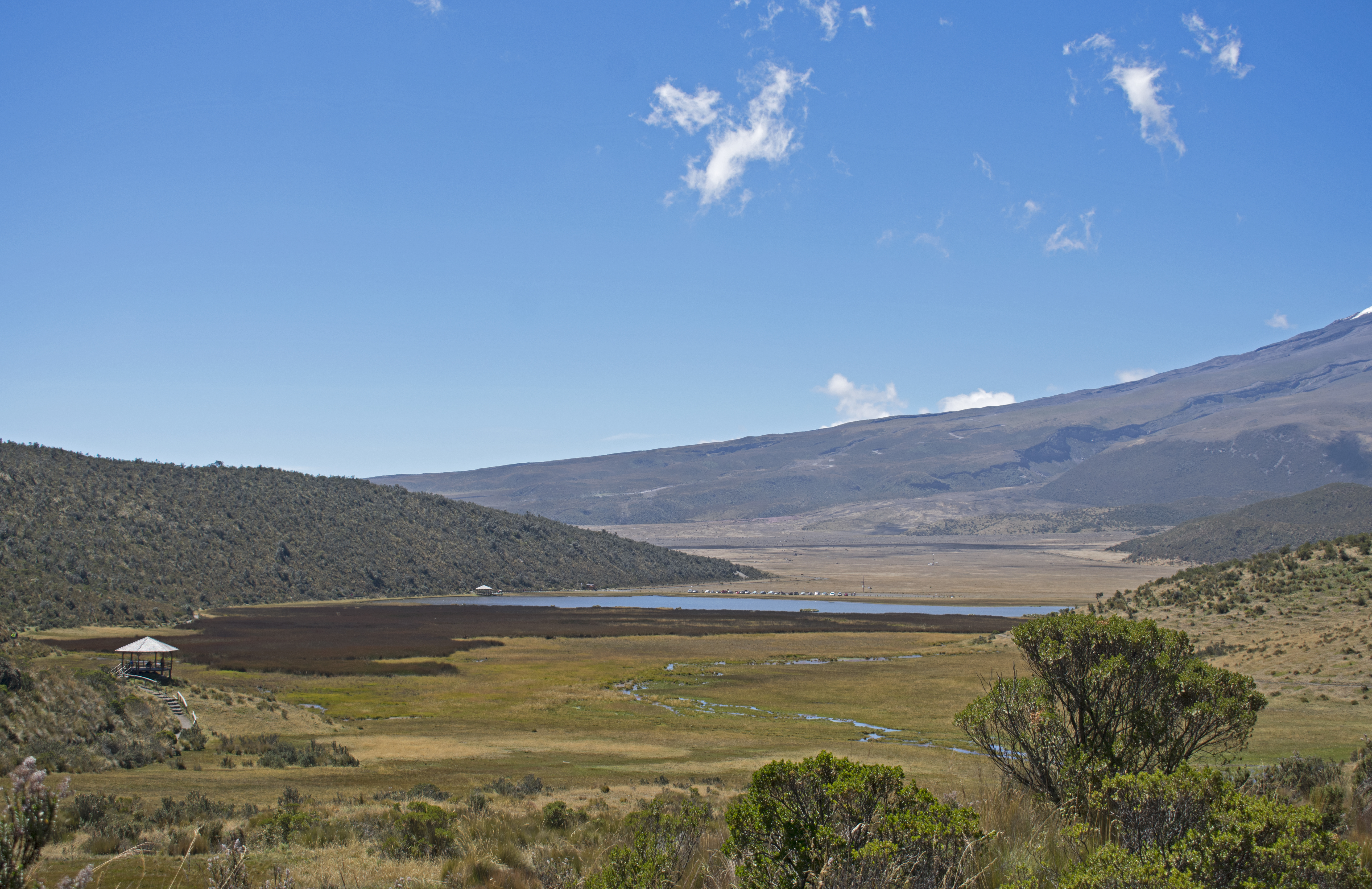 mcotopaxi18