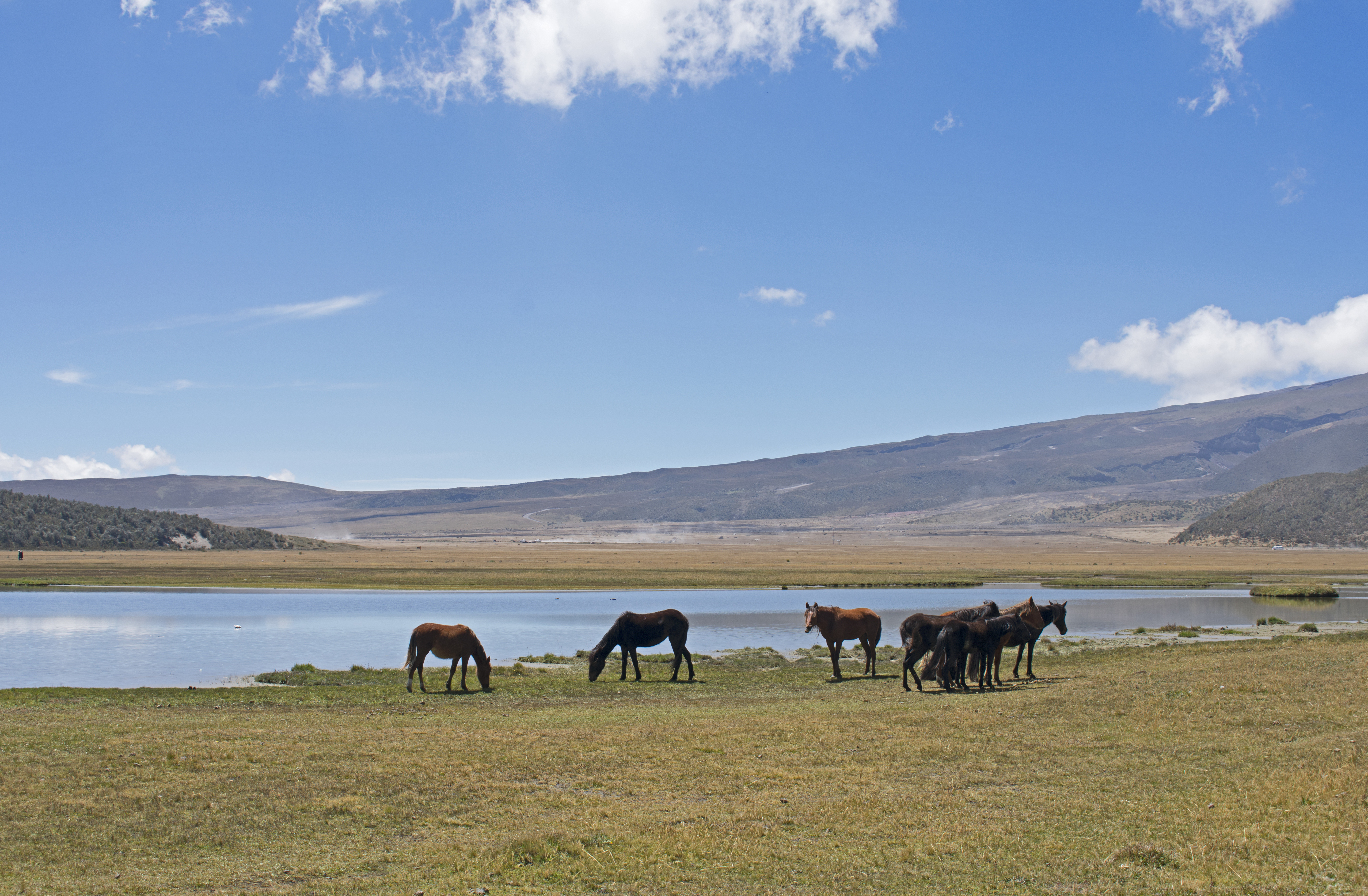 mcotopaxi28