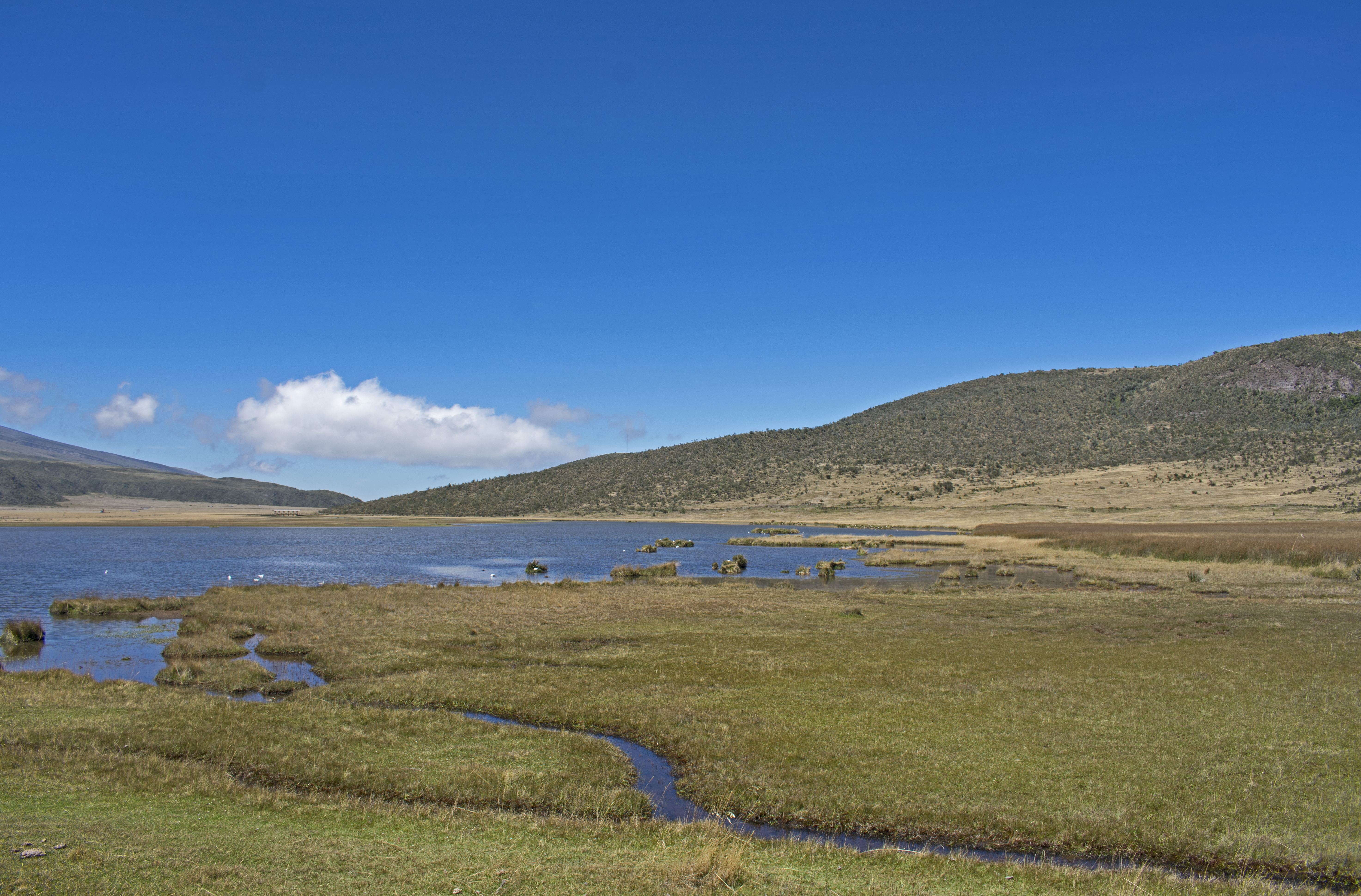 mcotopaxi09
