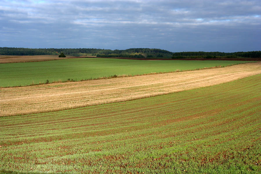 Agriculture -- Pologne