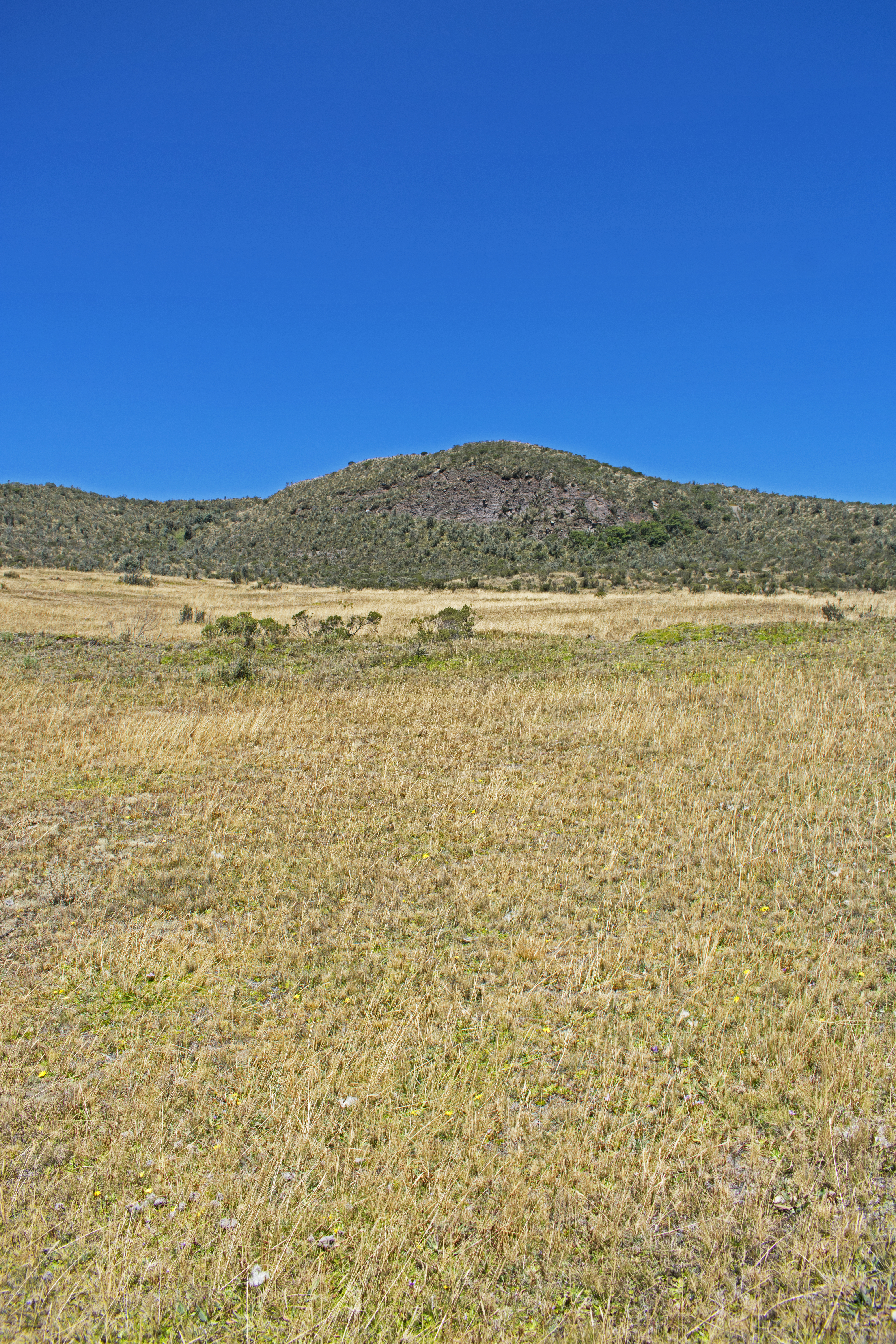 mcotopaxi26