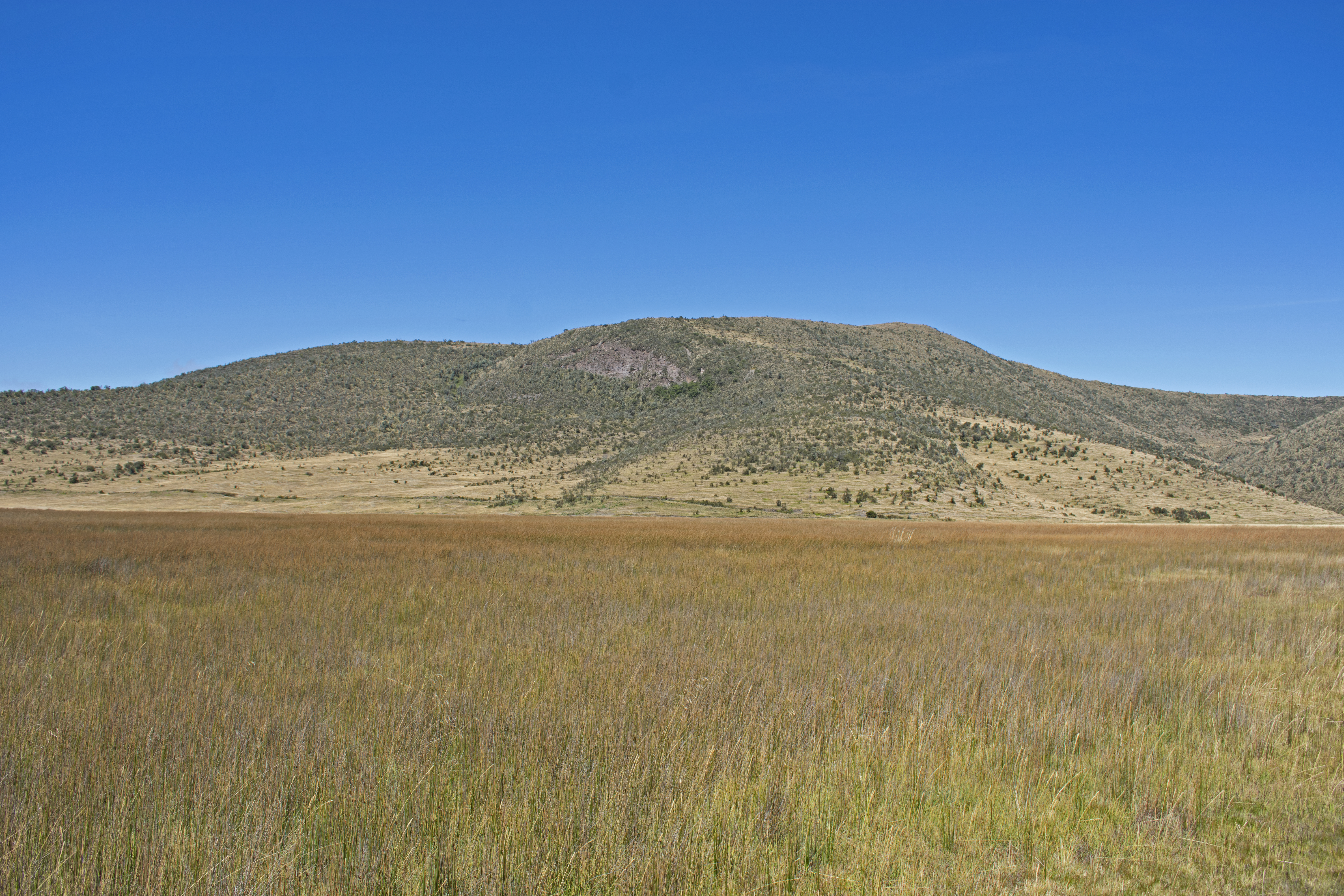 mcotopaxi11