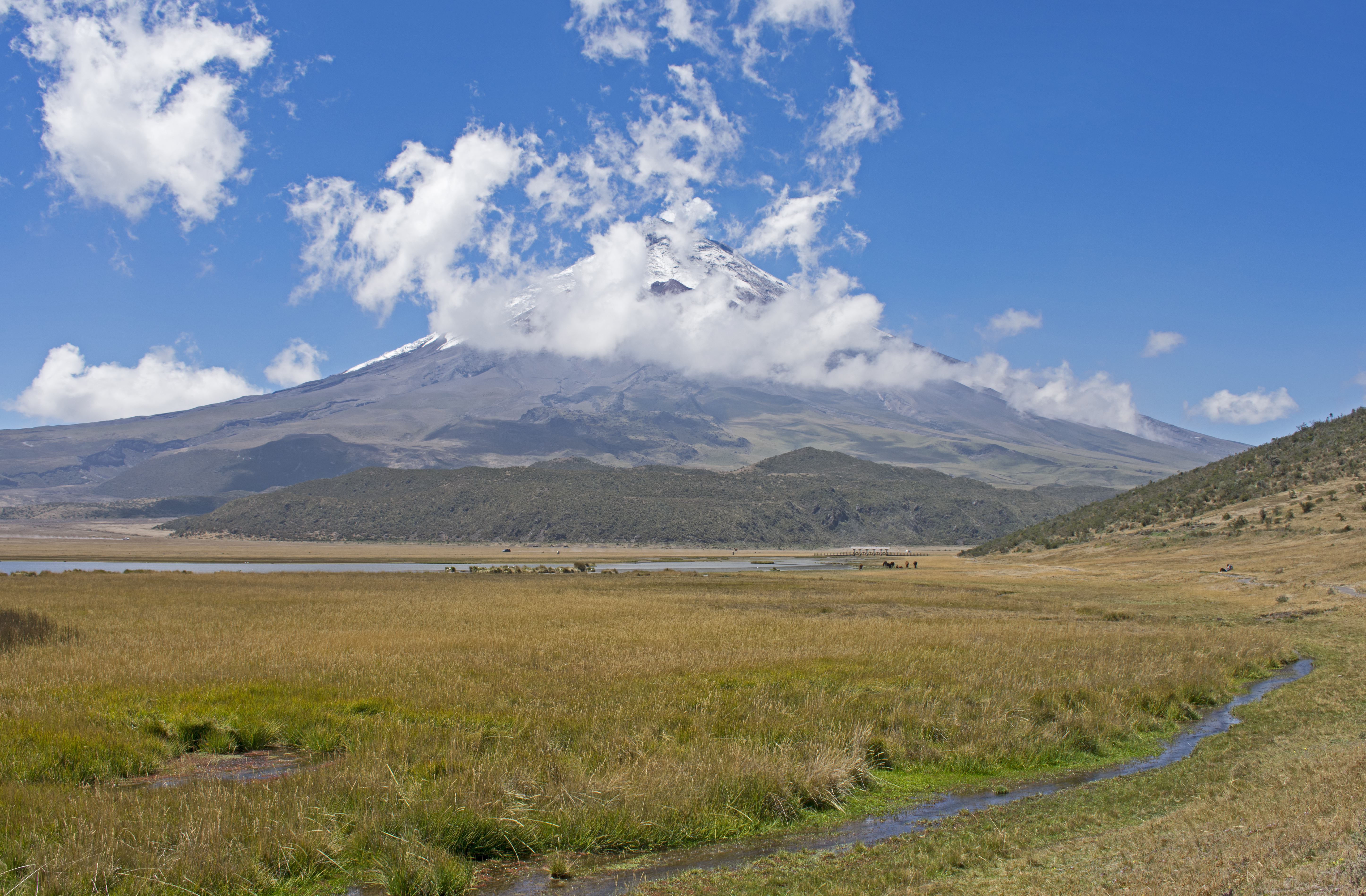 mcotopaxi25