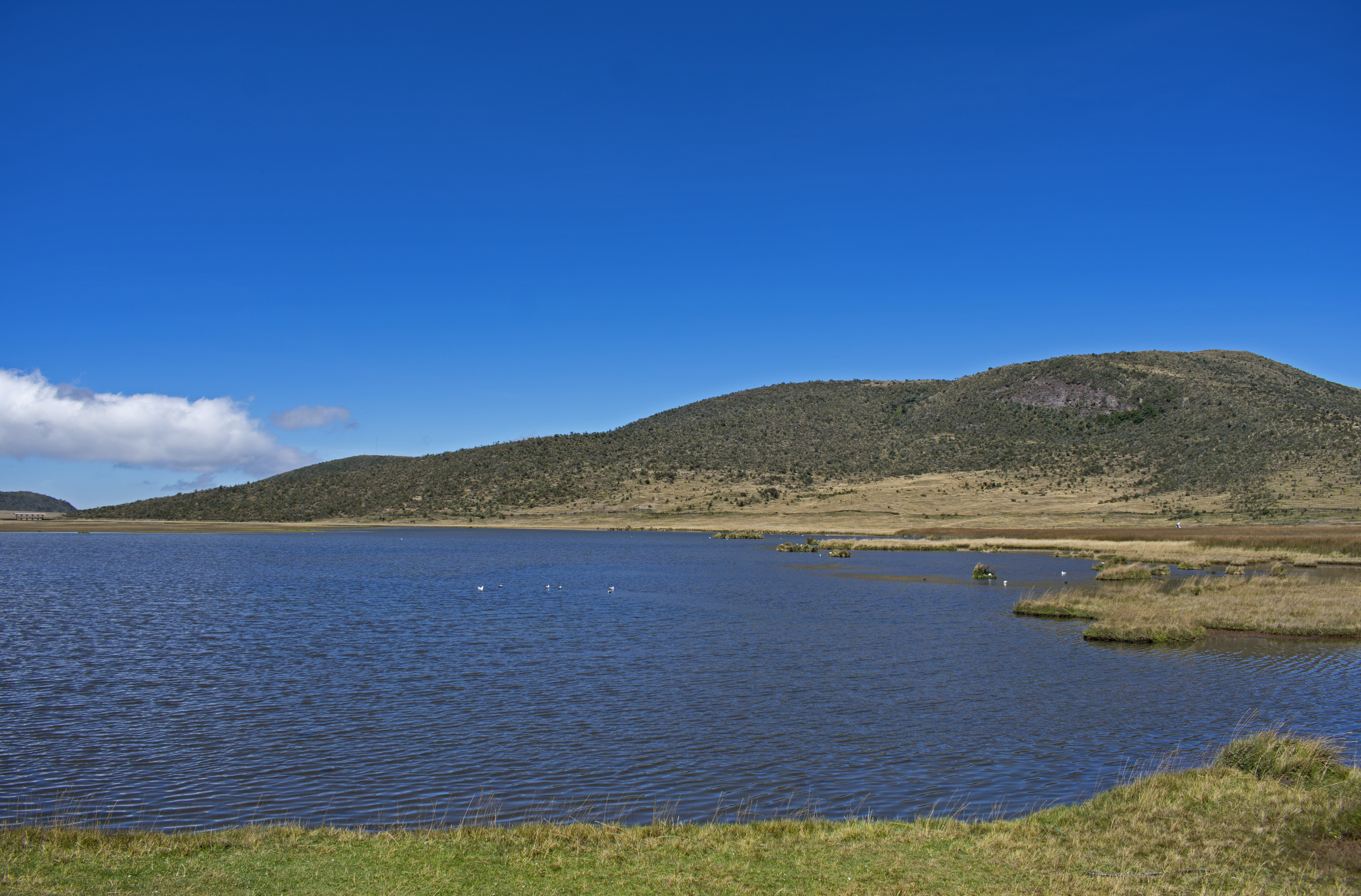 mcotopaxi08