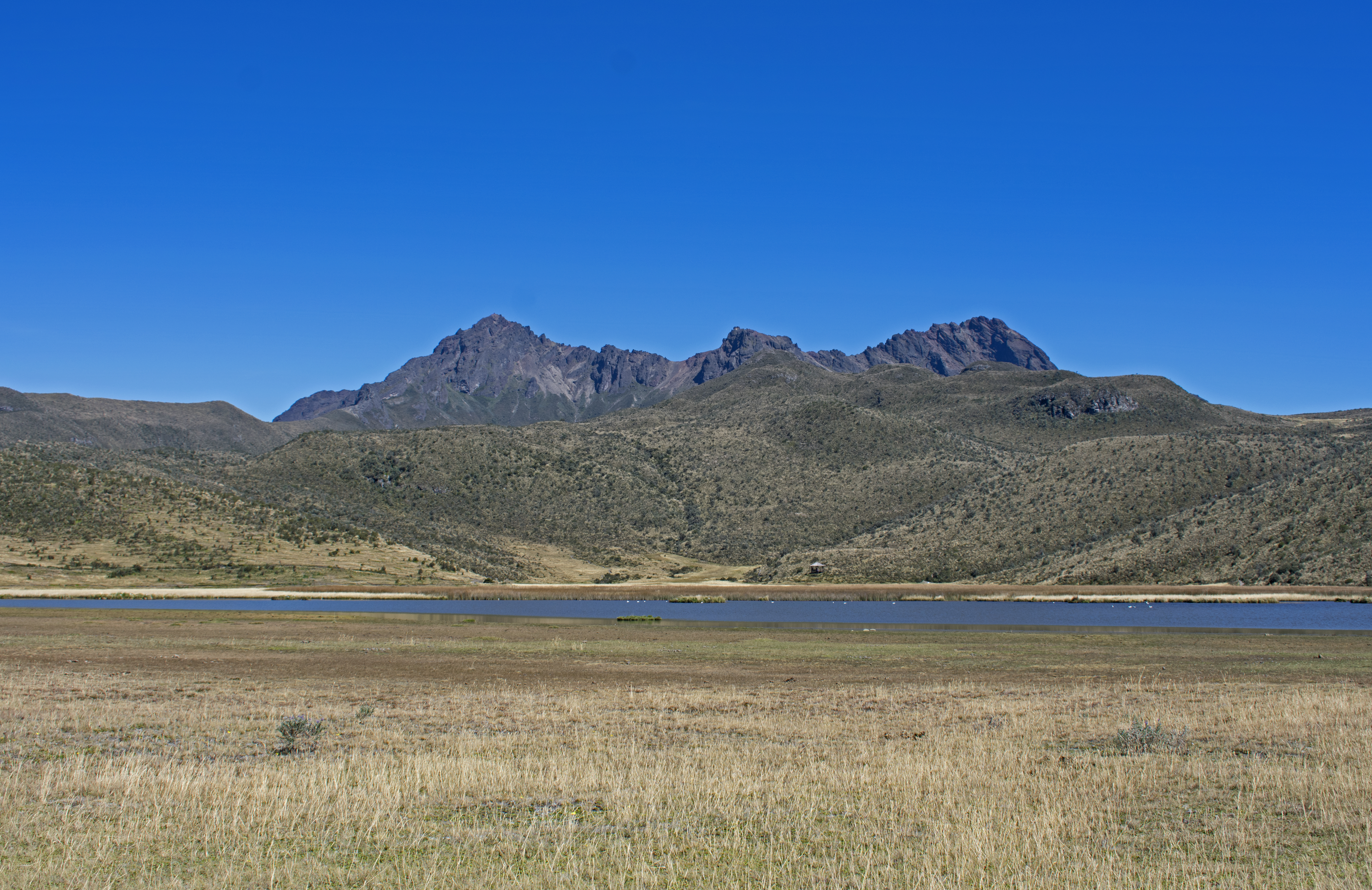 mcotopaxi02