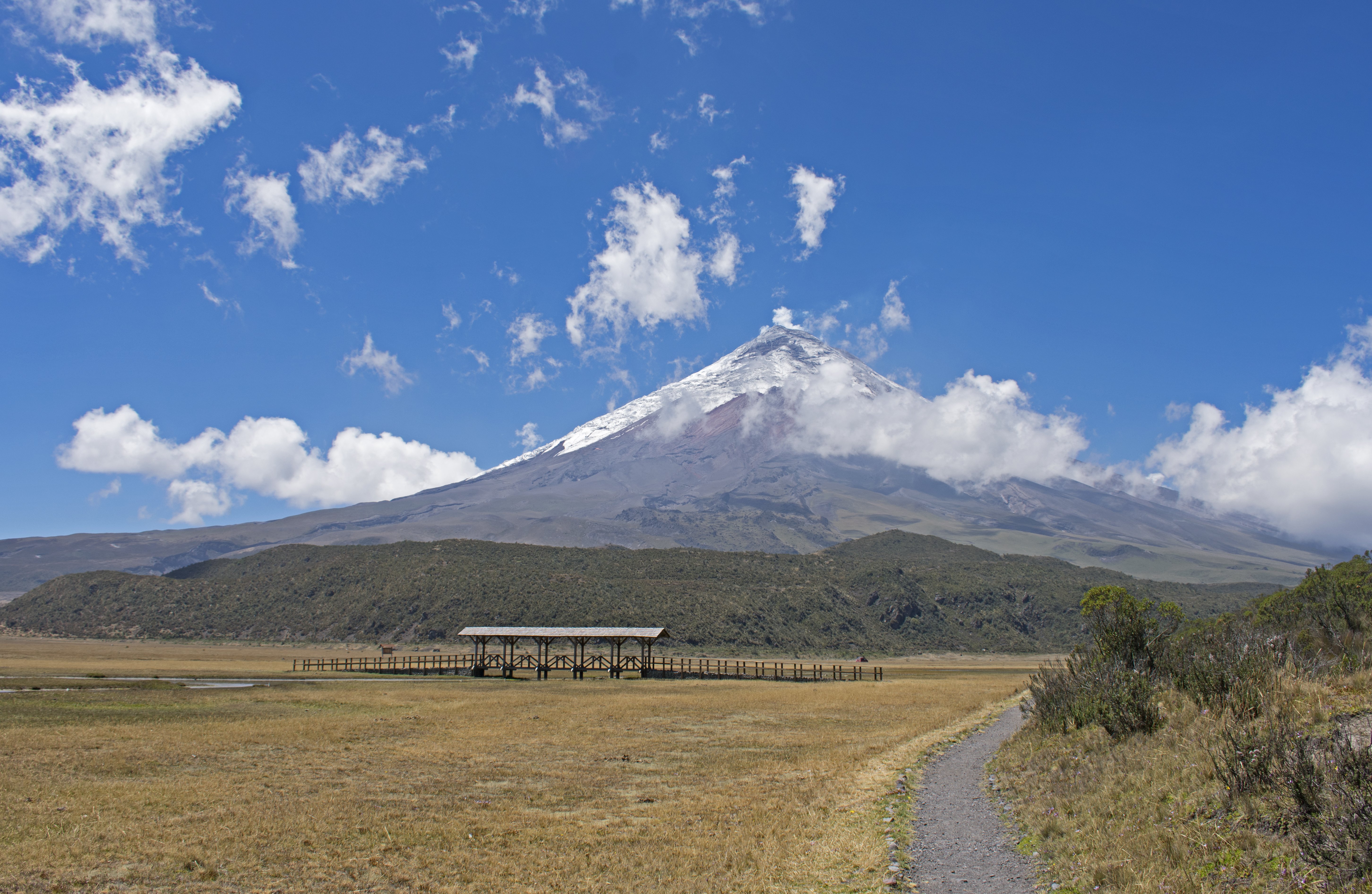 mcotopaxi33