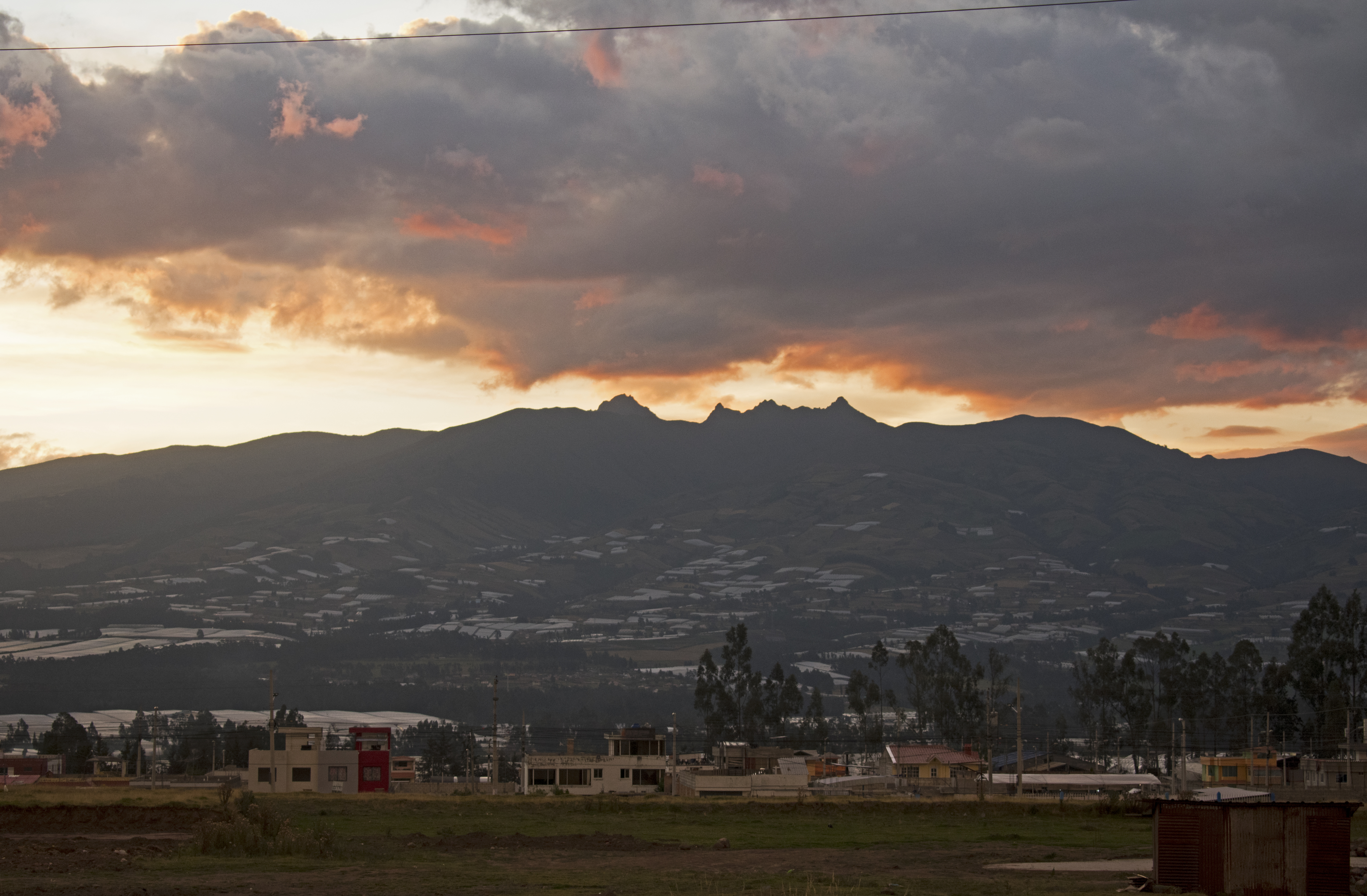 ecuicocha17