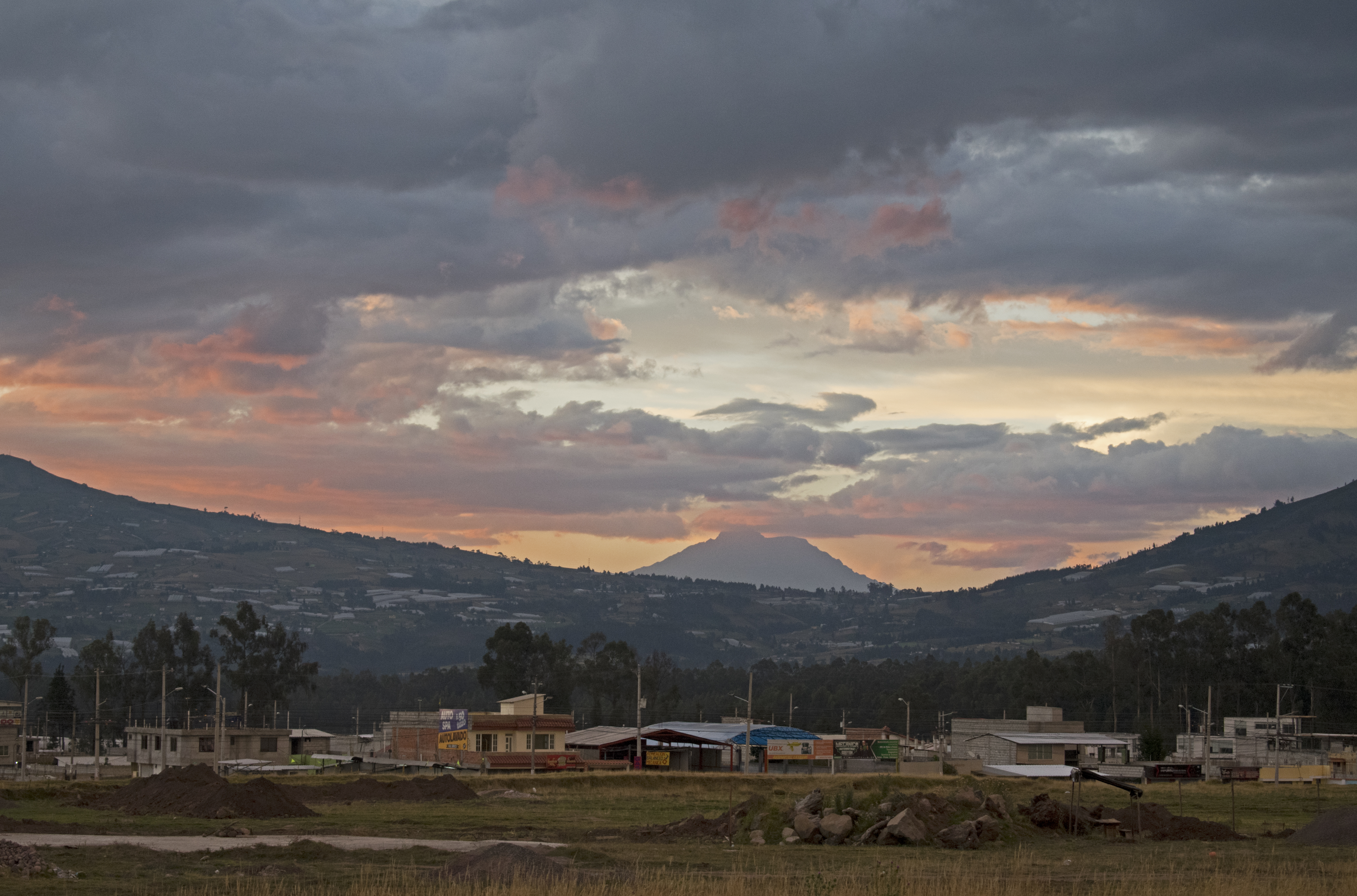 ecuicocha16