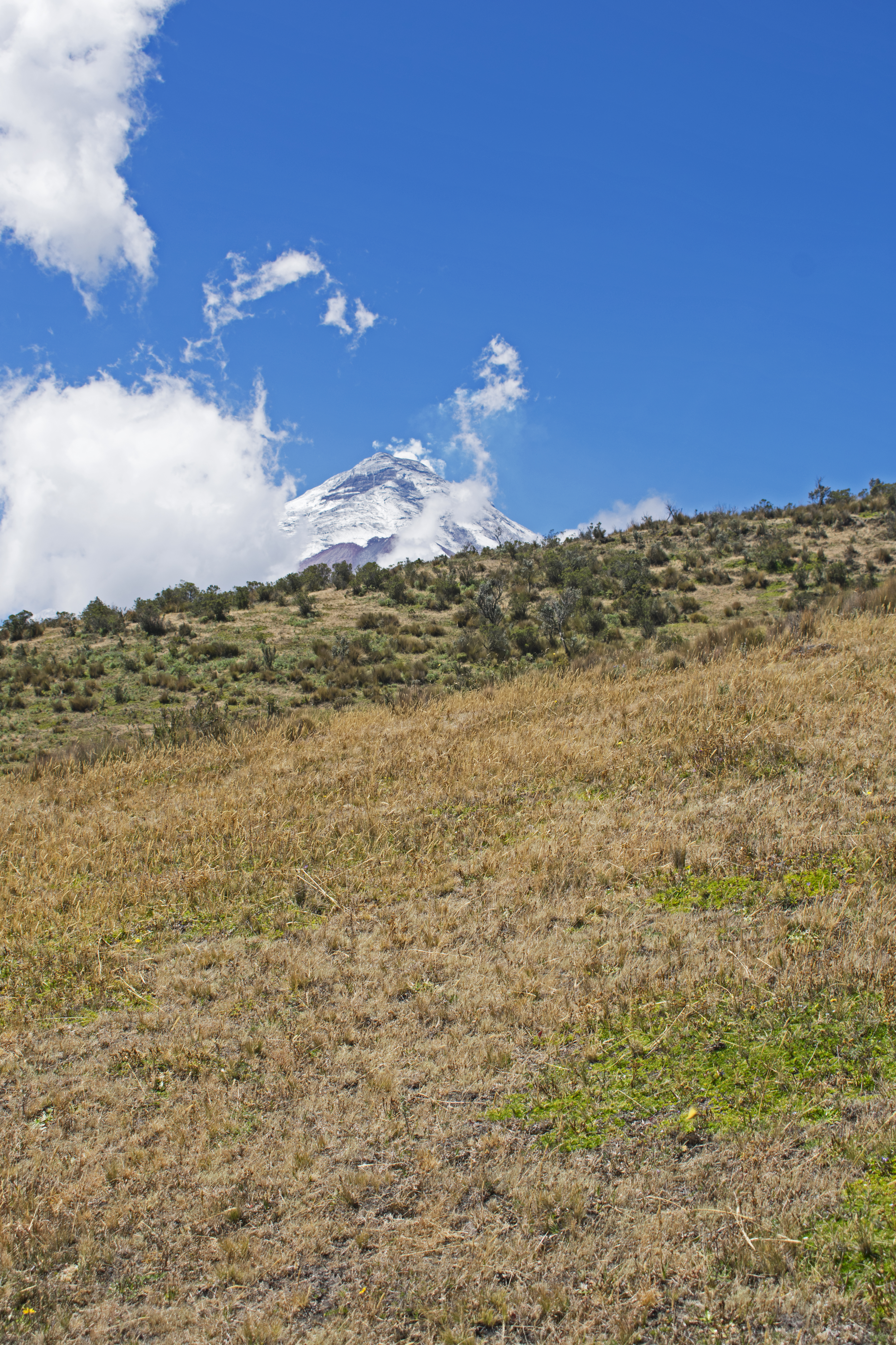 mcotopaxi23