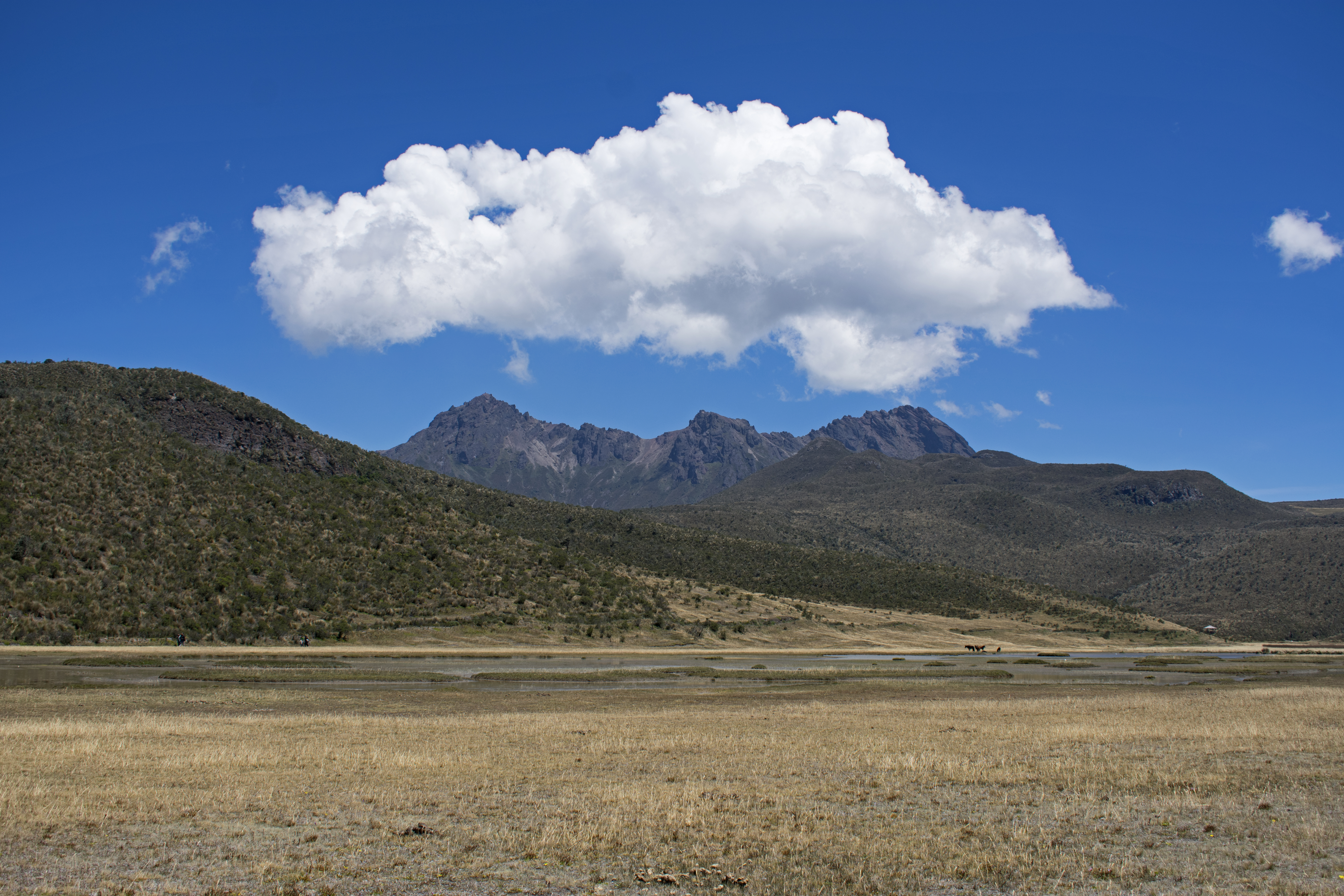 mcotopaxi38