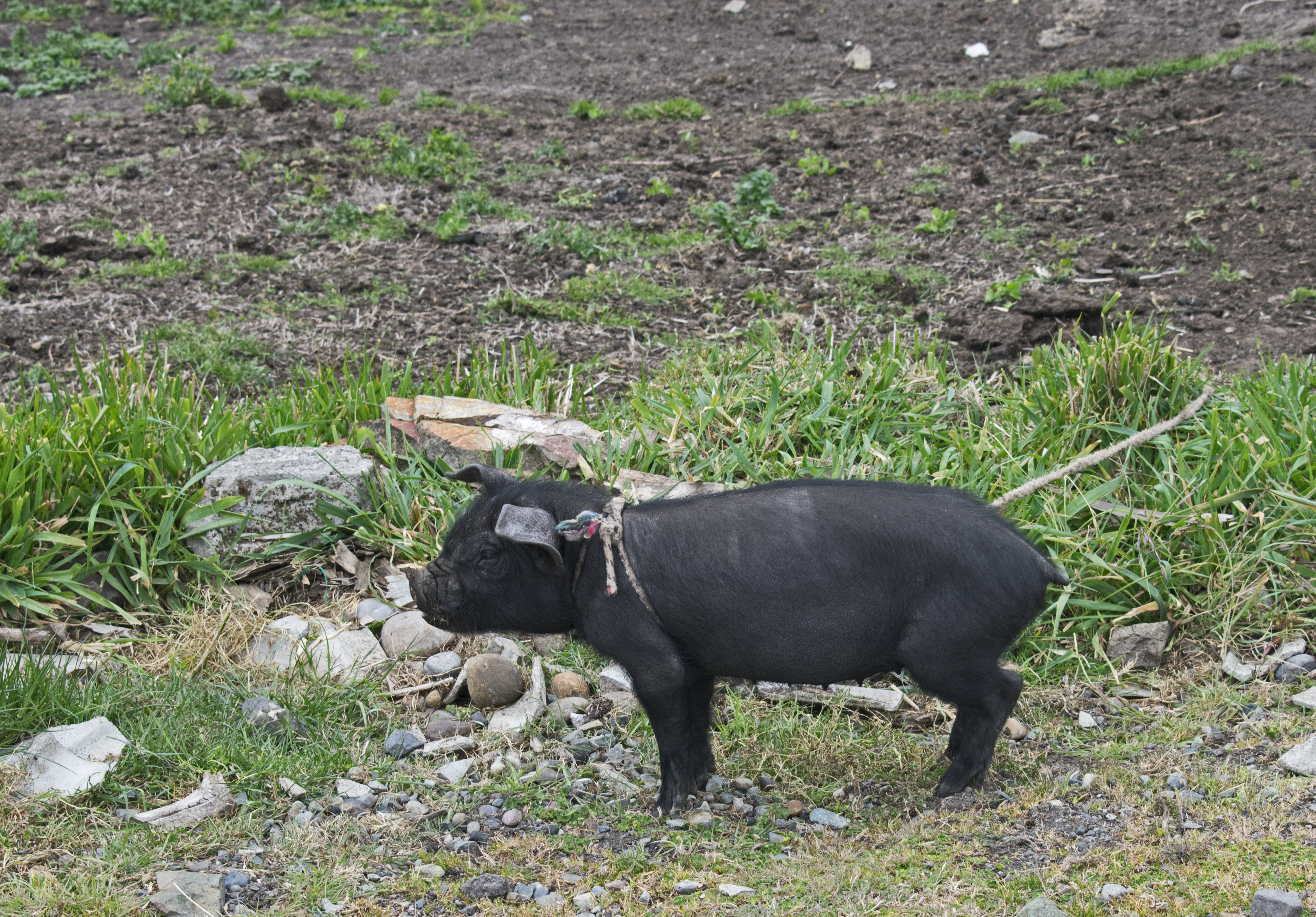 quilotoa18