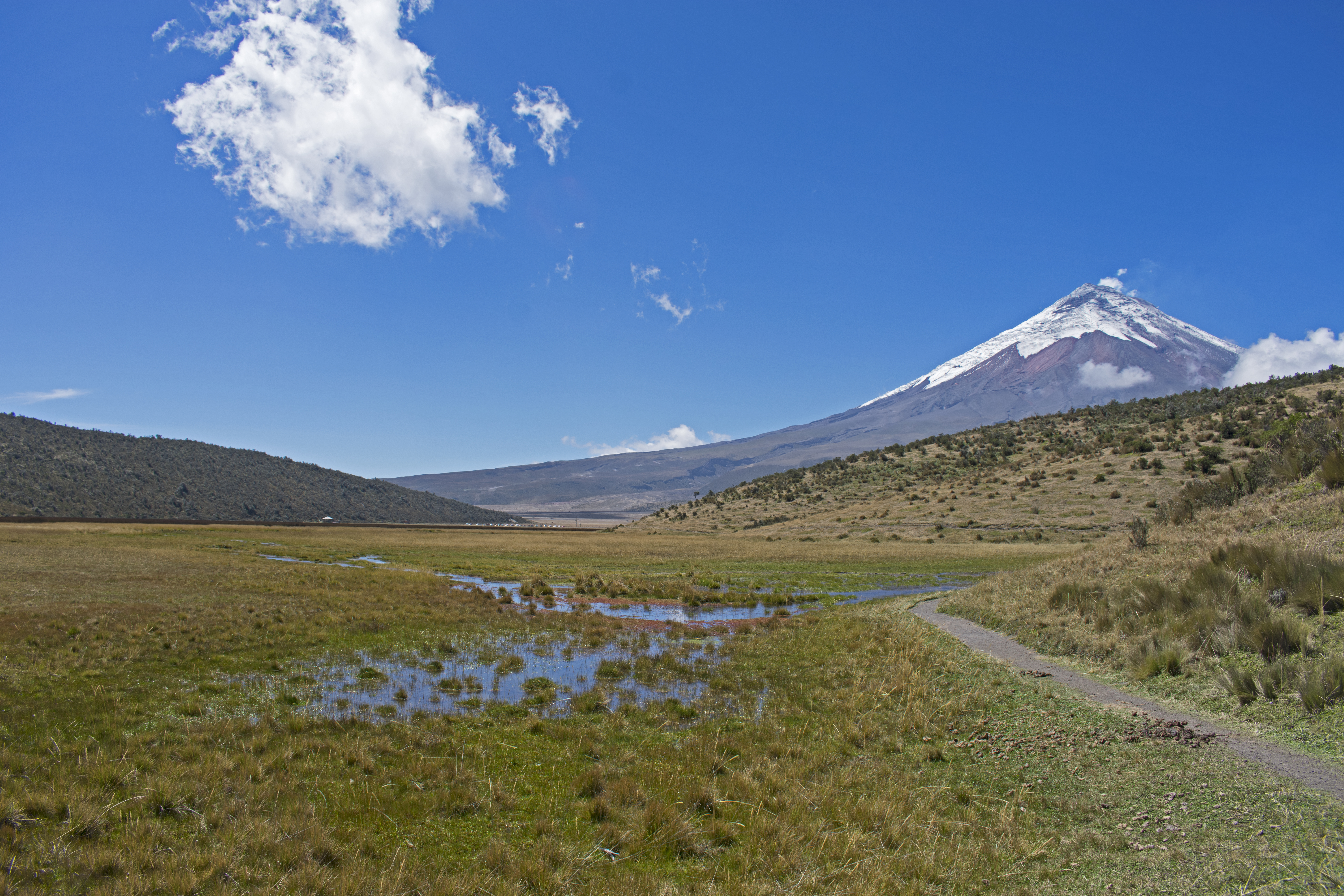 mcotopaxi20