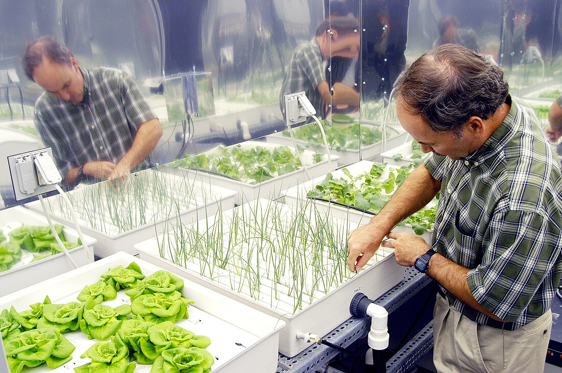 Hydroponics