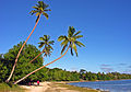 View of the "Erakor Beach" of the "Éfaté Island" at Port Vila (Vanuatu) in 2006 (another photography with Coconut palms)