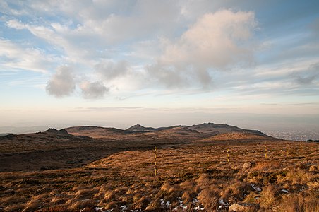 „Torfeno Branishte“ (Turf Reserve), the natural reserve on Vitosha Mountain, Bulgaria.