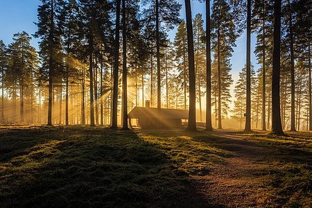 Tallmons naturreservat, Sweden