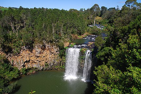 The "Dangar Falls" in Dorrigo (New South Wales)