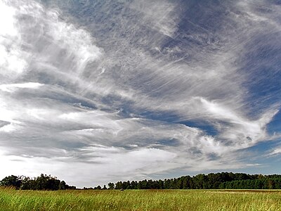 Several types of Cirrus clouds.