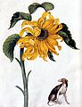 Painting of Sunflower oleh Alexander Marshal