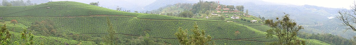 Munnar tea gardens