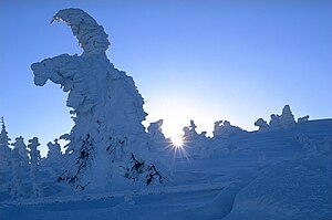 Merry Christmas to all voters, Brocken, Germany