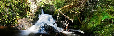 Butchers Creek, Omeo, Australia