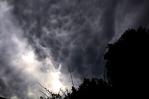 Mammatus clouds