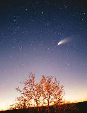 Hale-Bopp Comet above a tree, higher resolution