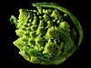 Romanesco