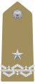 İtalya Ordusu'nun generale di brigata rütbe amblemi (1973) .svg