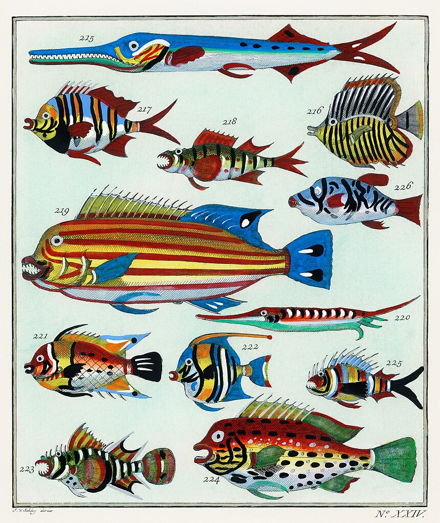 Rawpixel original lithographs by rawpixel-com 00038