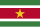 Flag of Suriname