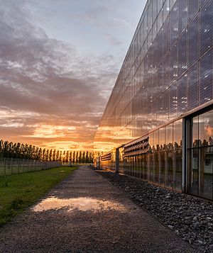 Sunset at the academy building Mont-Cenis in Herne