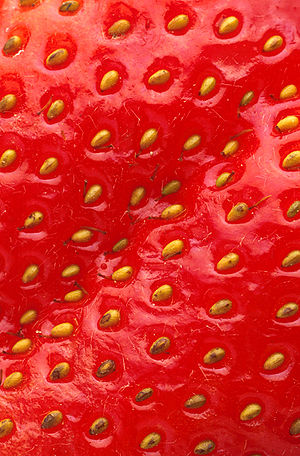 A strawberry