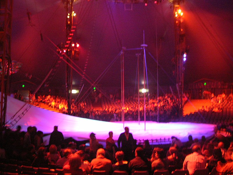 go to a cirque show during your las vegas trips