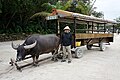 2011年3月22日 (火) 14:11時点における版のサムネイル