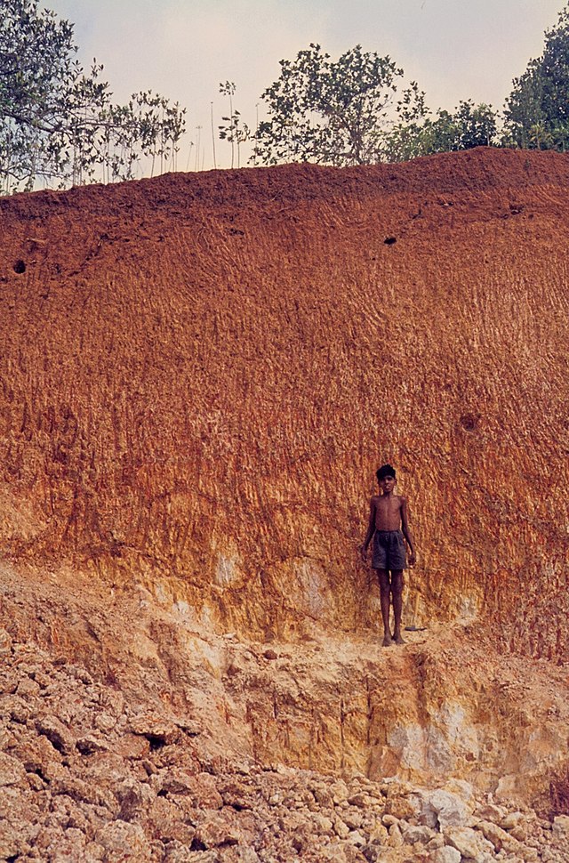 https://upload.wikimedia.org/wikipedia/commons/thumb/8/83/Laterite_formation_on_gneiss._C_009.jpg/640px-Laterite_formation_on_gneiss._C_009.jpg