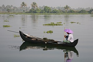 Kerala backwater