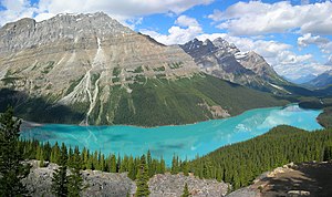 beautiful Peyto Lake in Banff NP