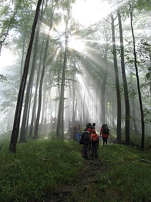 Sun rays in Stara Planina