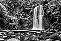 Beech Forest (AU), Great Otway National Park, Beauchamp Falls -- 2019 -- 1271 (bw).jpg