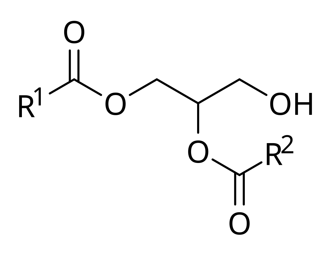 Diglyceride