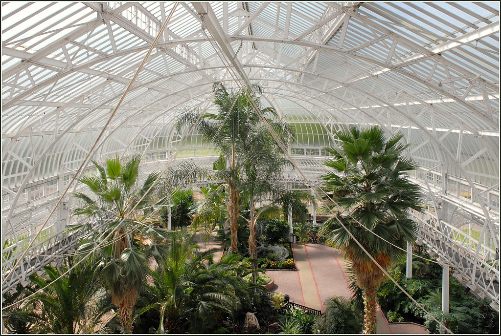 Le jardin d'hiver du palais du peuple (People's Palace) à Glasgow. Photo de Jean Pierre Dalbéra.