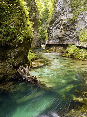 Slika:Blejski Vintgar, Slovenia (5).jpg