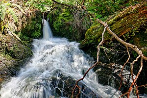 Butchers Creek