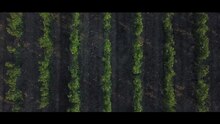 Dosya: Domaine des Sanzay arsası - Montsoreau.webm