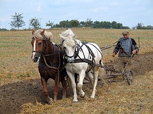 Farmer Plowing