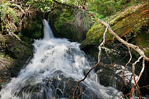 Butchers Creek