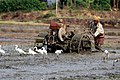 16:11, 13 നവംബർ 2010-ലെ പതിപ്പിന്റെ ലഘുചിത്രം